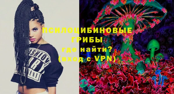 прущие грибы Алзамай