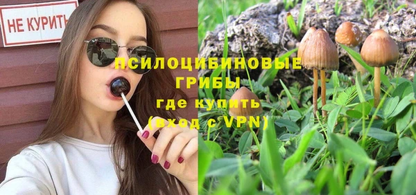 МДПВ Алексеевка