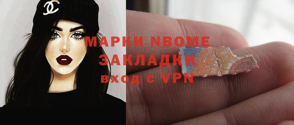 прущие грибы Алзамай