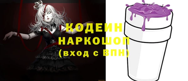 прущие грибы Алзамай