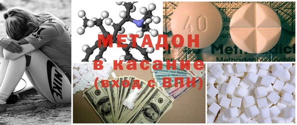 прущие грибы Алзамай