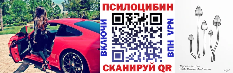 цены наркотик  Раменское  Псилоцибиновые грибы Cubensis 